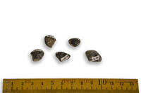 F 01490
<br/>
<br/>
<em></em>